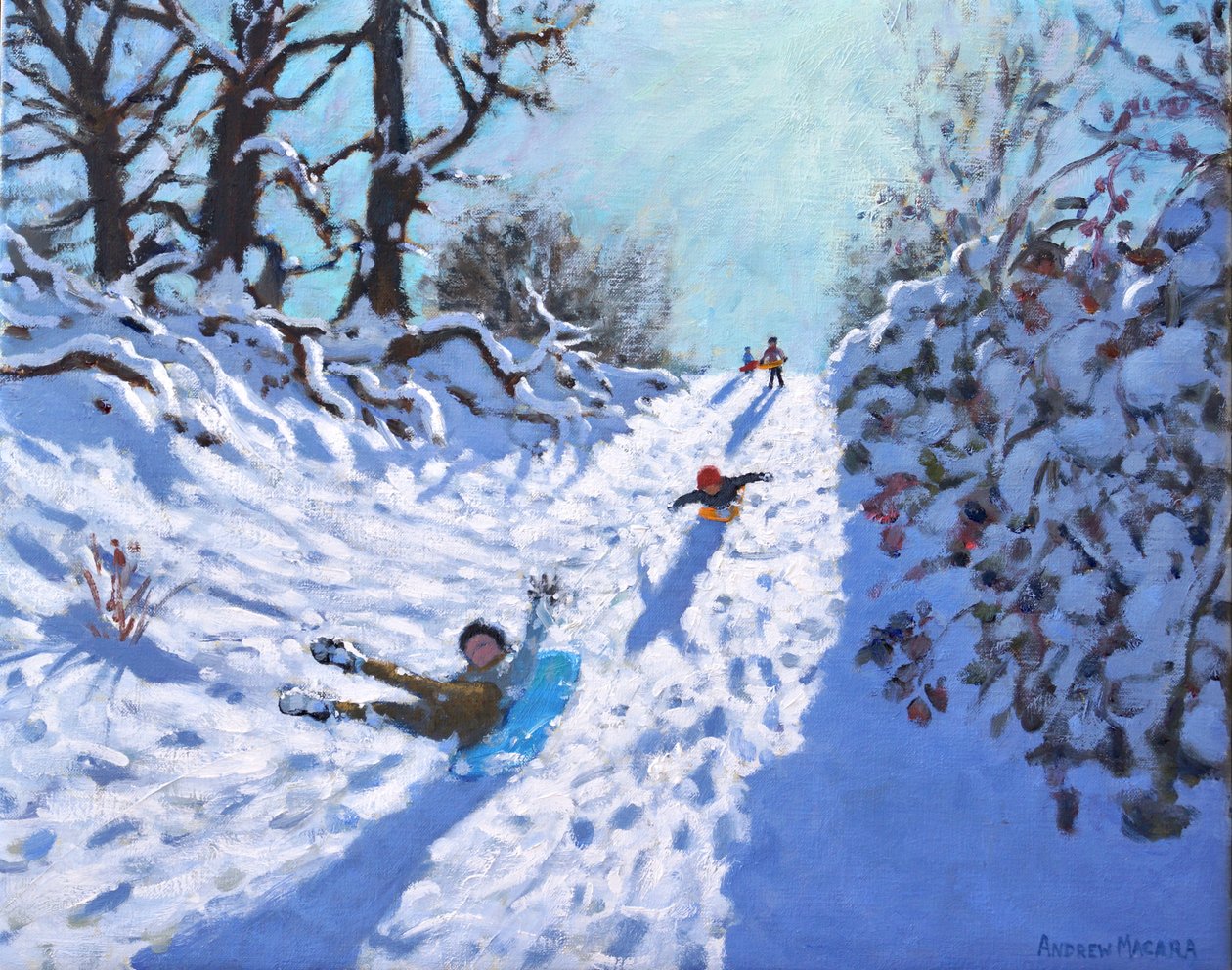 Sleeën, Calke Abbey, Ticknall, Derby door Andrew Macara