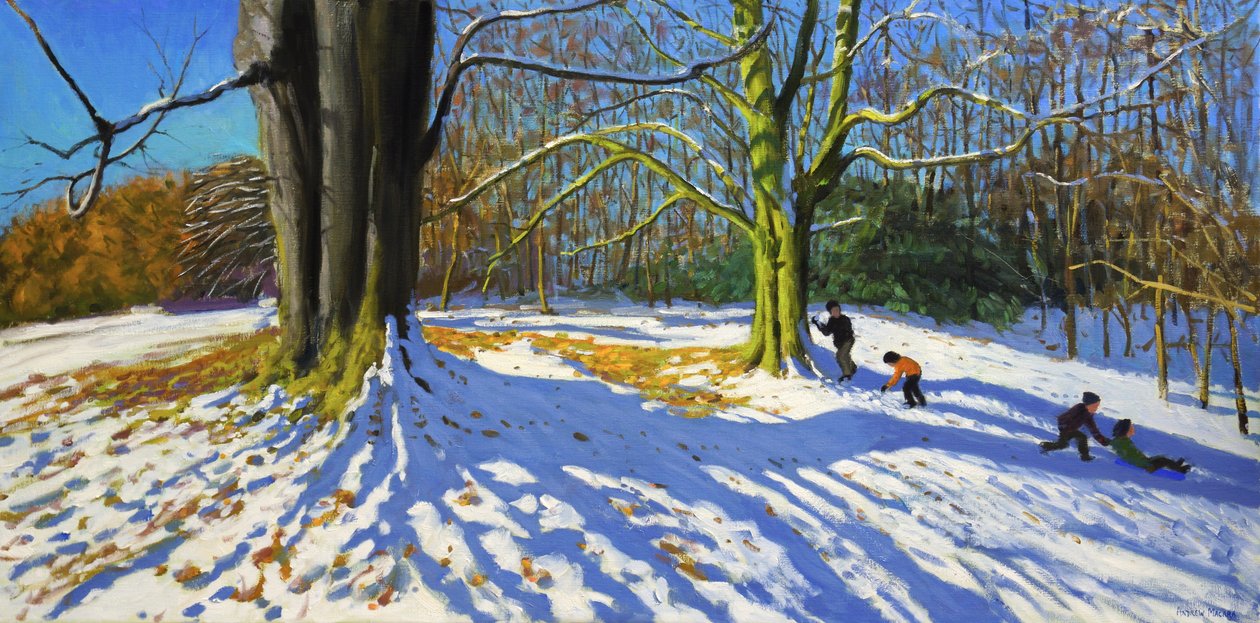 Top van Allestree Park, 2014 door Andrew Macara