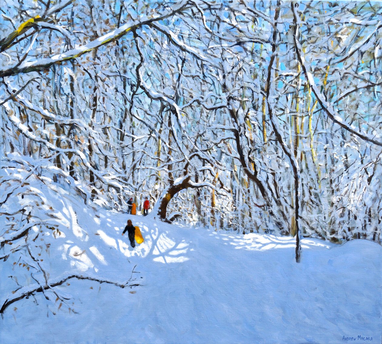 Gele en Oranje Sleeën, Allestree Park, Derby door Andrew Macara