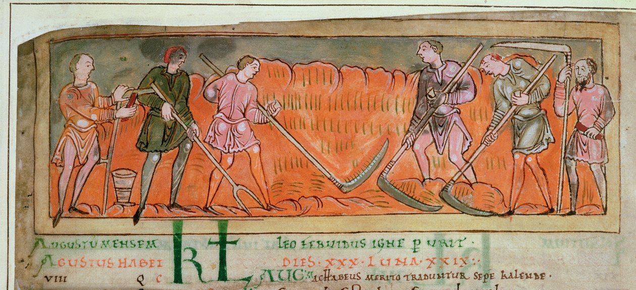Oogsten, uit een kalender, c.1030 (detail) door Anglo Saxon