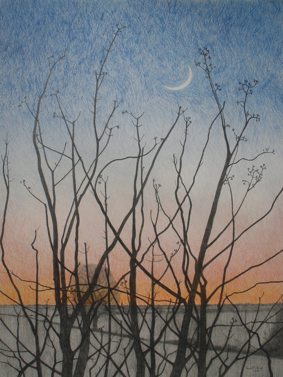 Vanuit mijn raam, 2011 door Anna Phillips