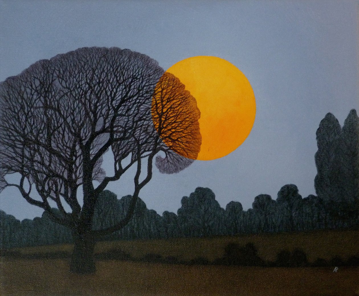 Opkomende maan, 2014 door Anna Phillips
