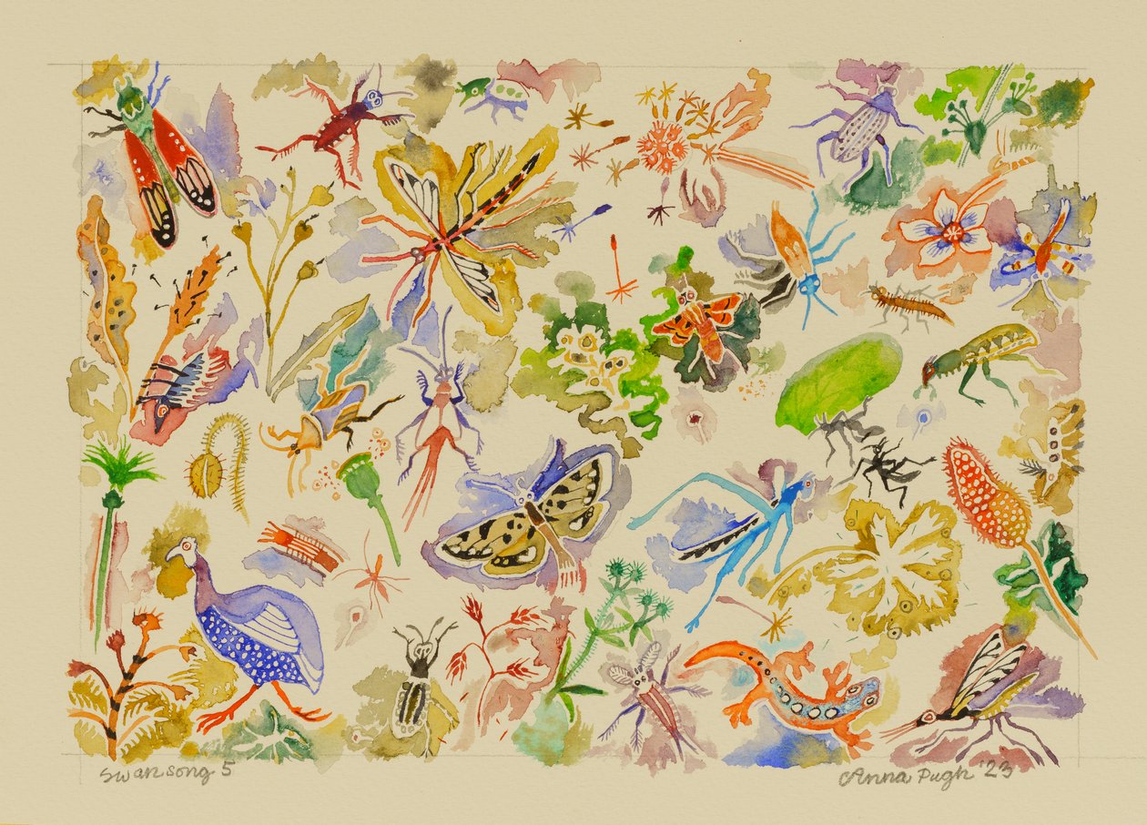 5 Zwanenzang, 2023 (aquarel) door Anna Pugh