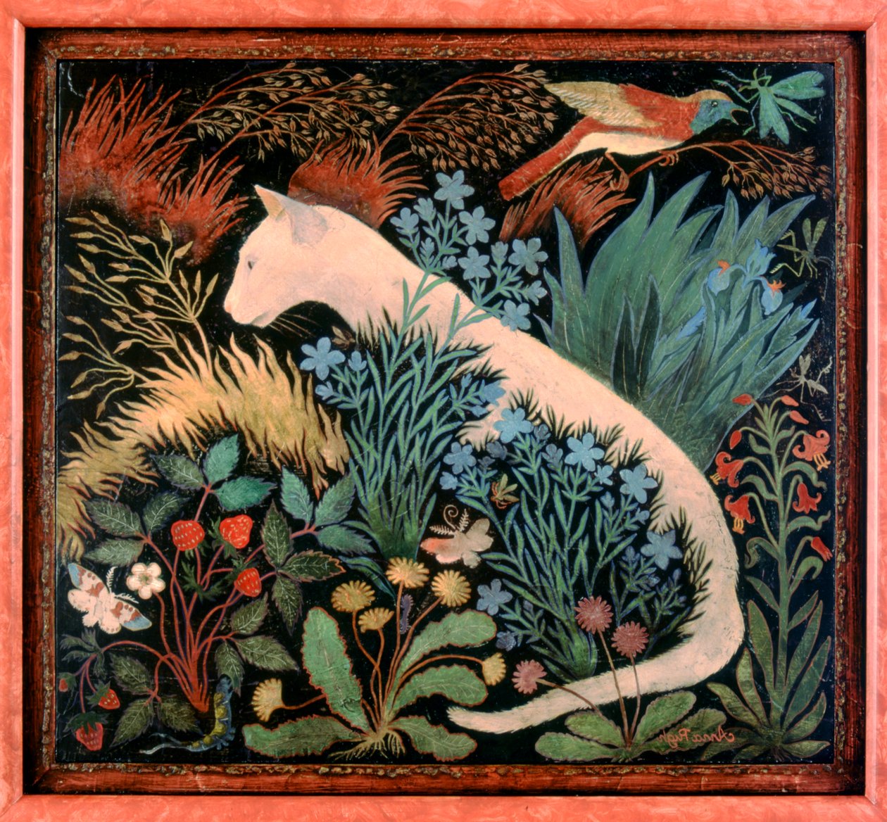 Albino door Anna Pugh