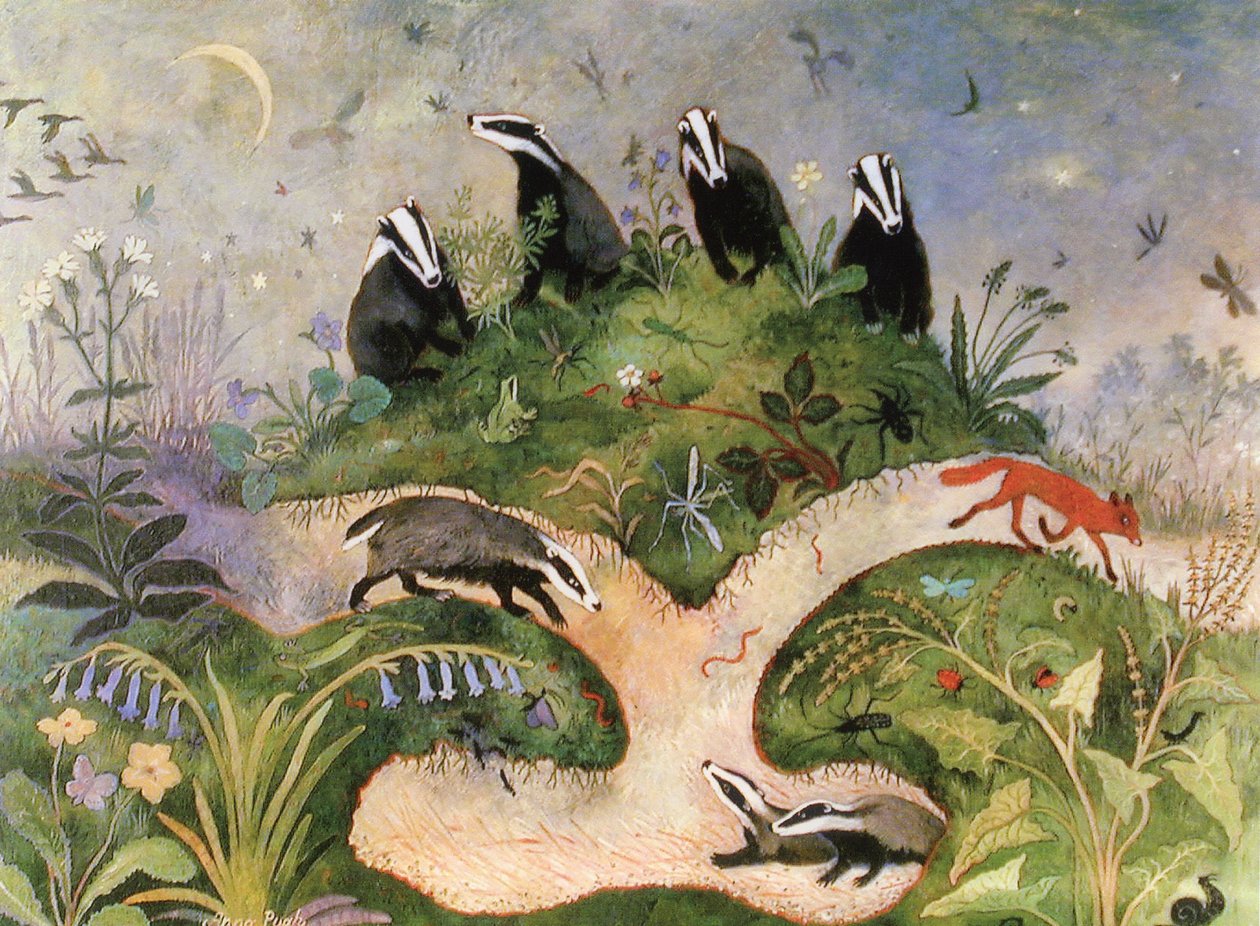 Nachthemel, 2001 (acryl) door Anna Pugh