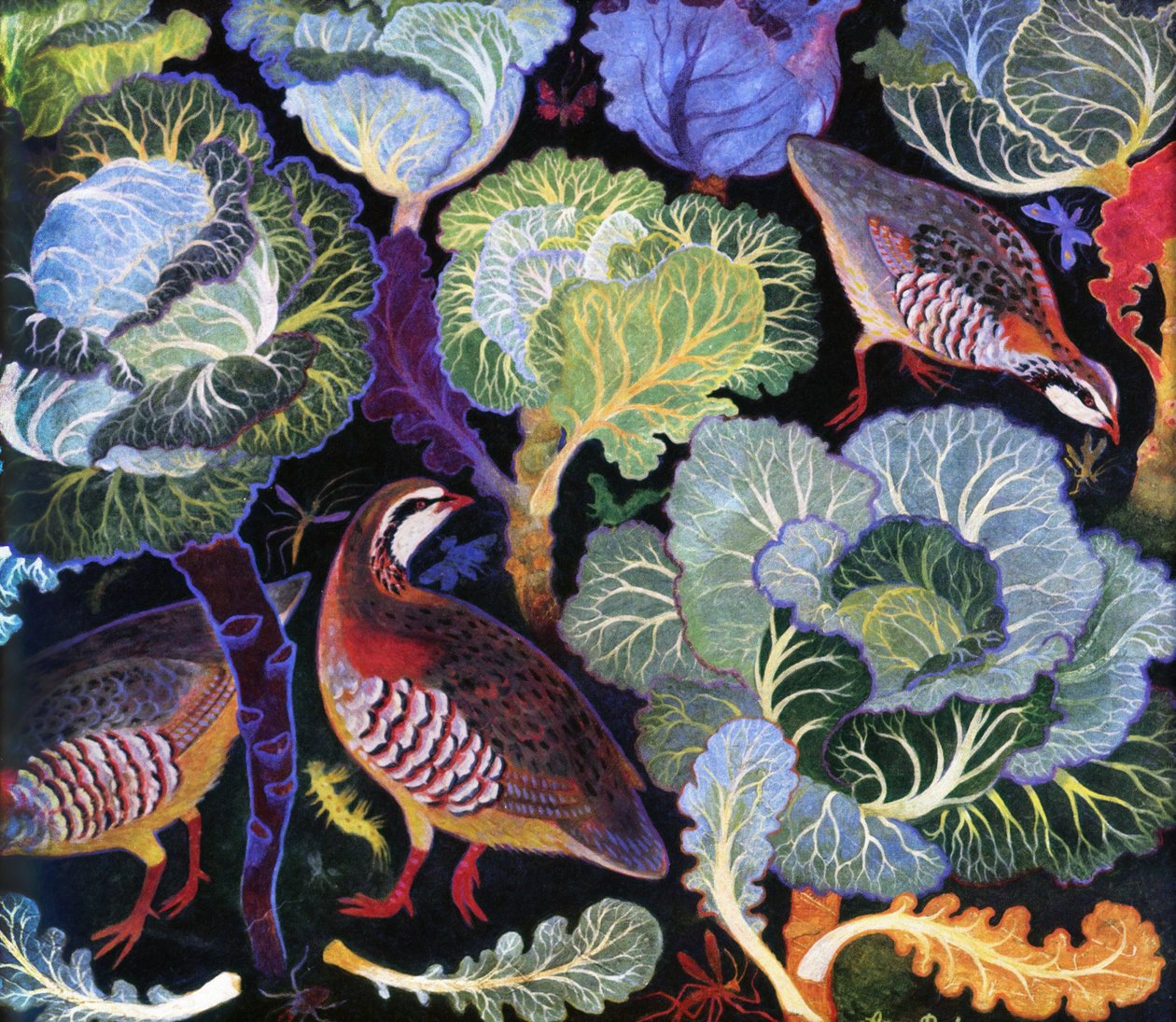 Patrijs in een koolveld door Anna Pugh