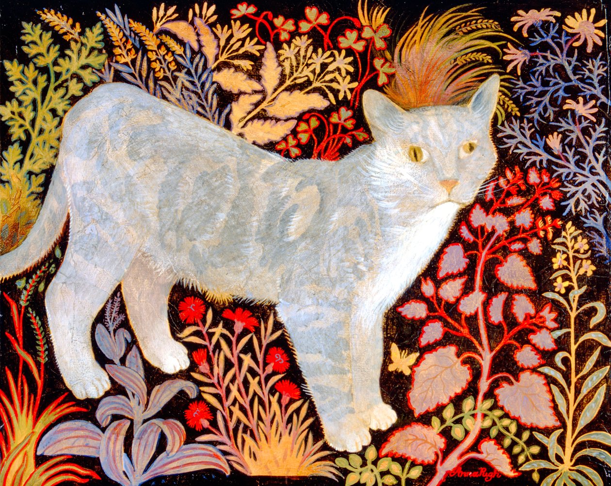 Zilver tabby door Anna Pugh
