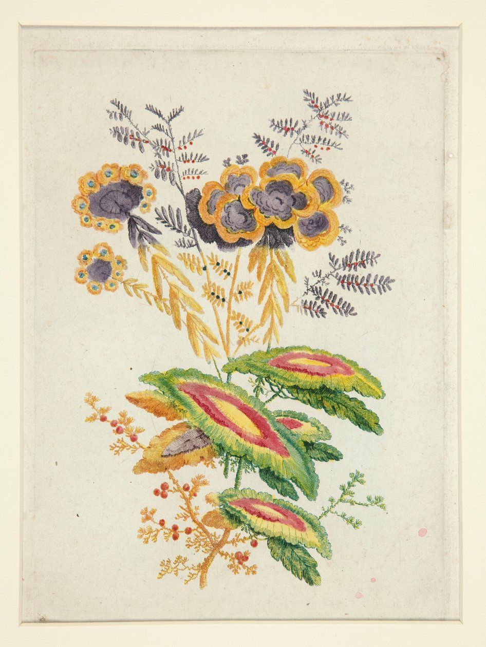 Fantastische bloemen, uit Nieuwe Suite van Notitieboekjes van Ideale Bloemen voor het Gebruik van Ontwerpers en Schilders door Anne Allen
