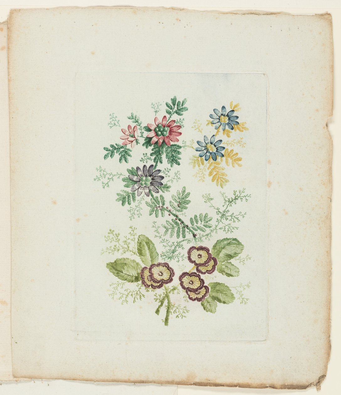 Bord, uit Nieuwe Suite van Notitieboekjes van Ideale Bloemen voor Gebruik door Tekenaar en Schilder door Anne Allen