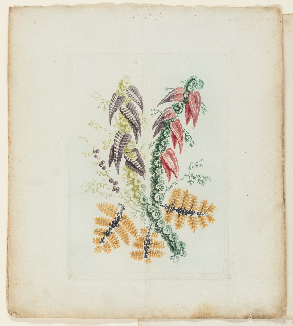 Plaat, uit Nieuwe Suite van Notitieboekjes van Ideale Bloemen voor Gebruik door Tekenaar en Schilder door Anne Allen
