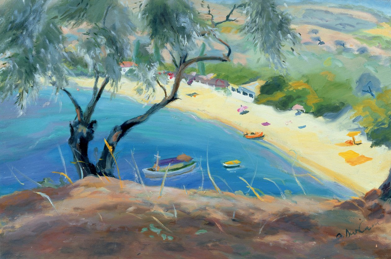 Achladies Baai, Skiathos, Griekenland, 1985 door Anne Durham