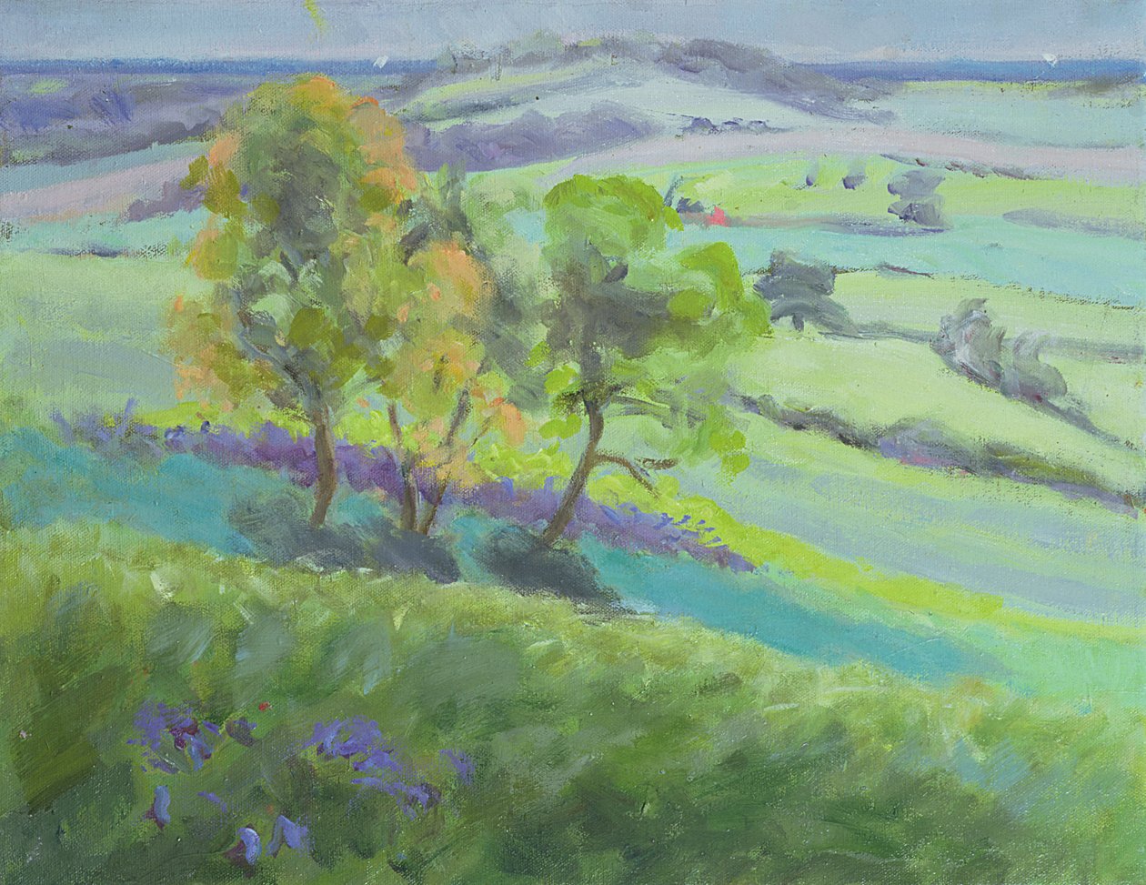 Naar Winchelsea, Sussex, met blauwe bloemen in de lente door Anne Durham