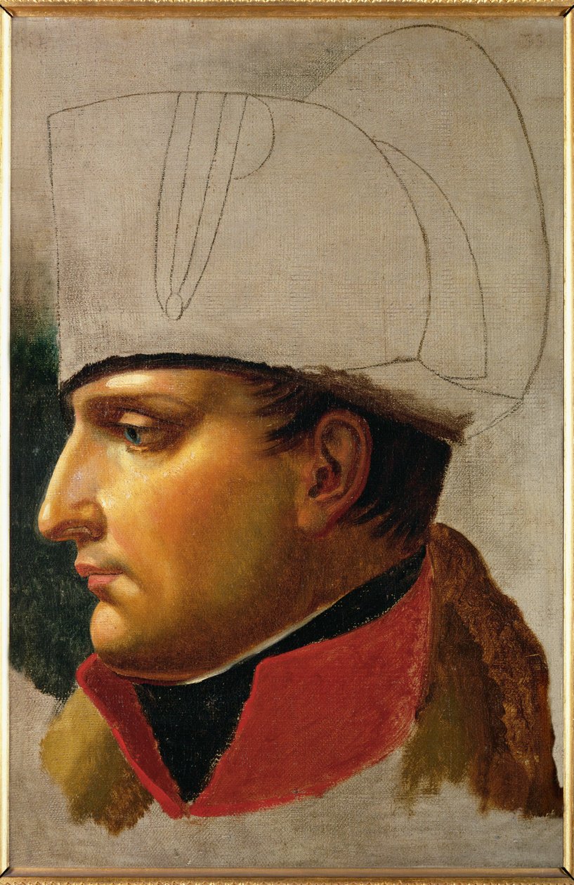 Keizer Napoleon I (olieverf op doek) door Anne Louis Girodet de Roucy-Trioson