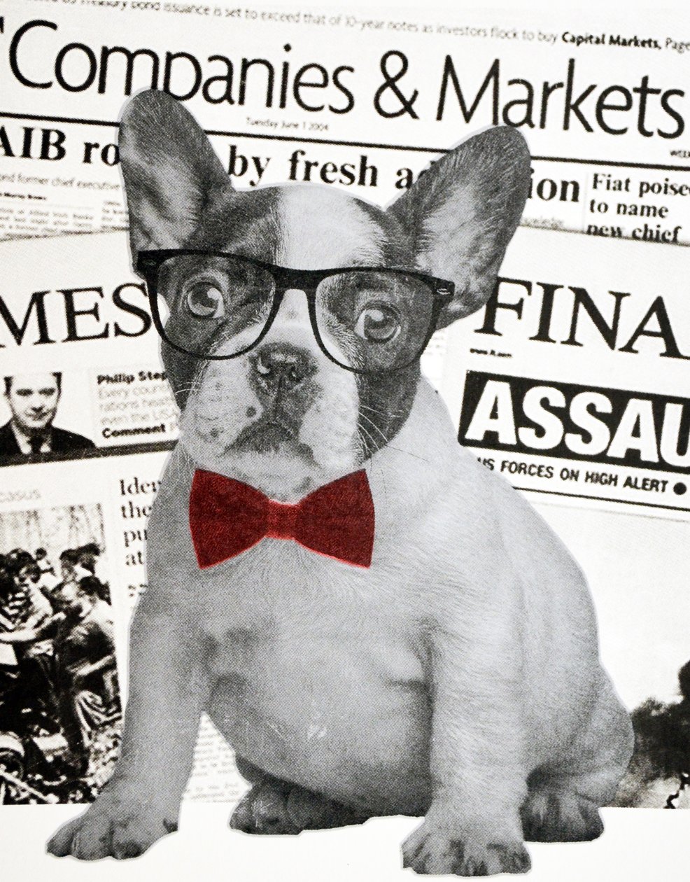 Wall Street Hond, 2015 door Anne Storno