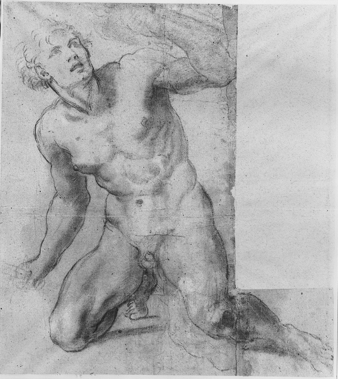 Studie voor Phineas - Farnese Galerij door Annibale Carracci