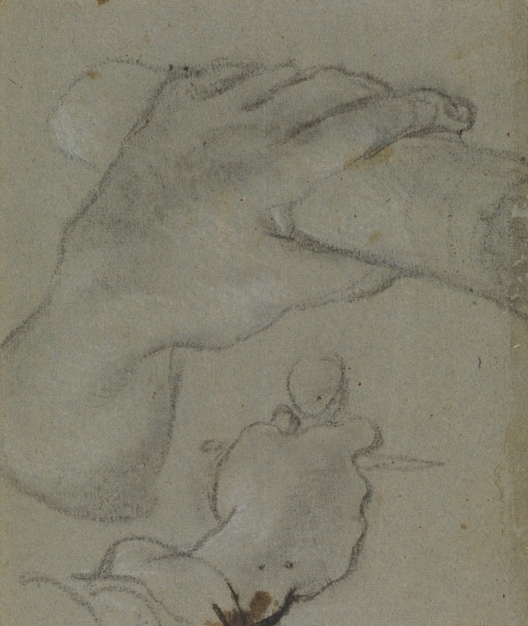 Carracci - v studie voor de handen van Johannes de E, RCIN 902115 door Annibale Carracci