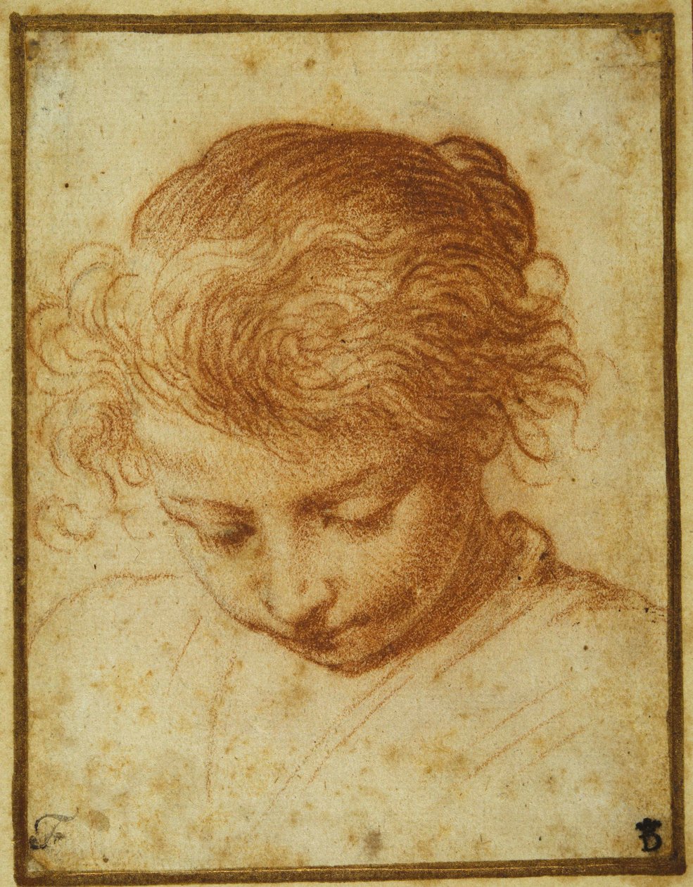 Hoofd van een jong meisje dat naar beneden kijkt door Annibale Carracci