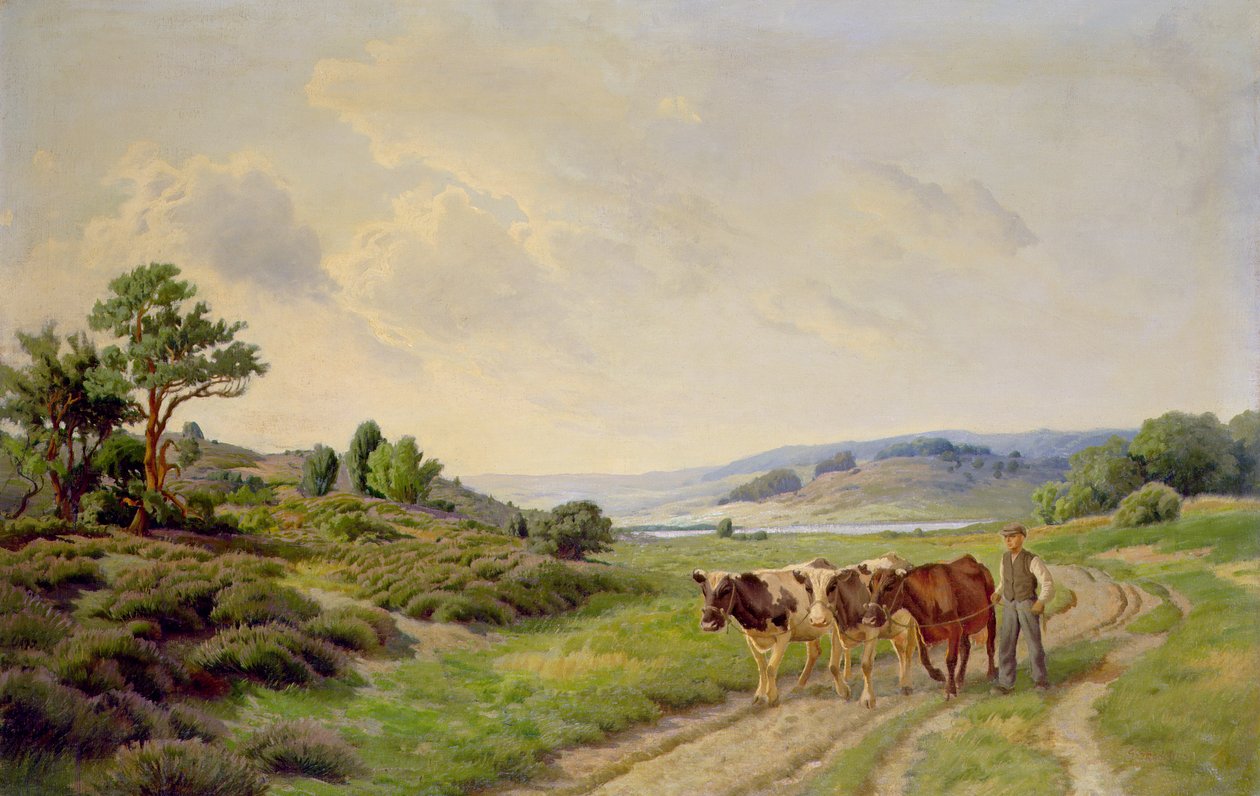Uitgestrekt Deens Landschap met Vee door Unbekannt Unbekannt
