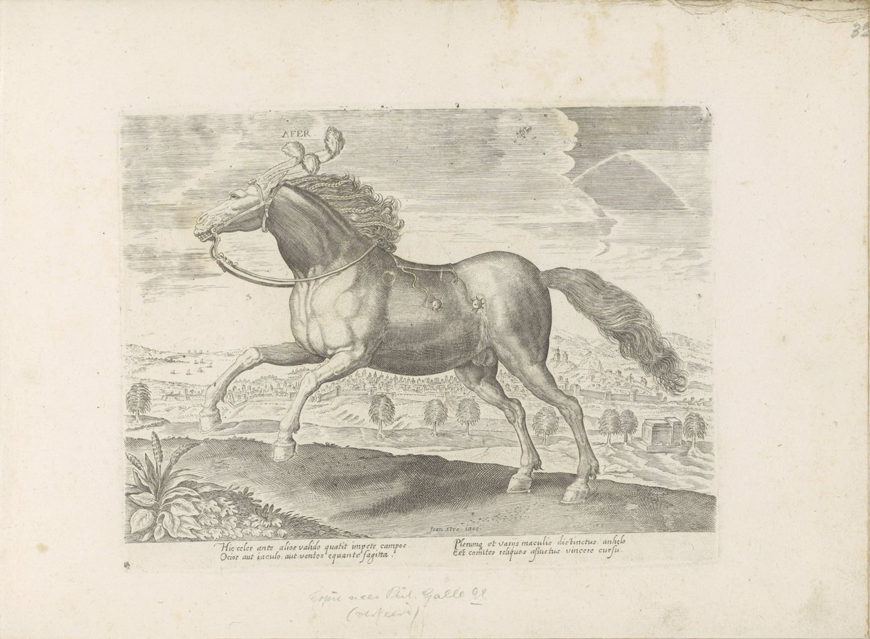 Arabisch paard door Anonymous