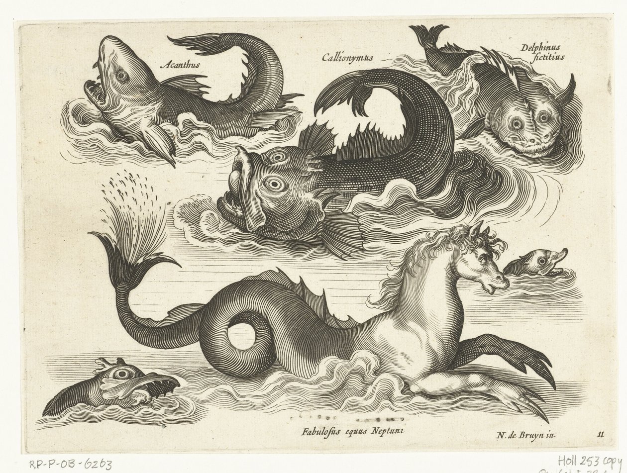Fantastische waterdieren, onder andere zeepaard (series title) door Anonymous
