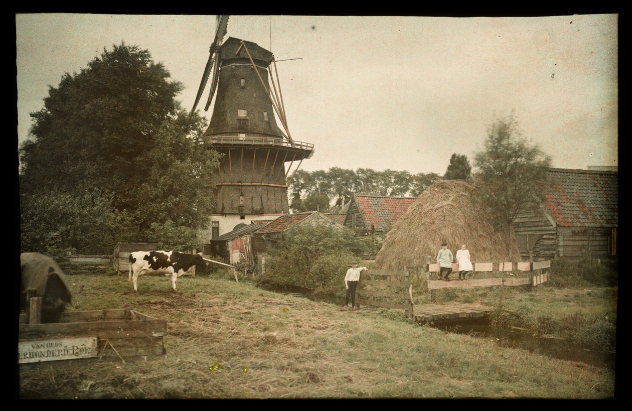 Boerderijtoneel met een windmolen, vastgebonden koe en poserende kinderen, Nederland door Anonymous