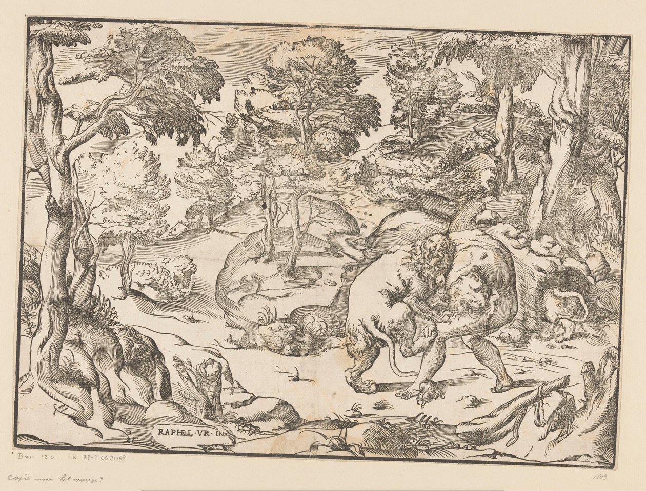 Hercules en de Nemeïsche leeuw door Anonymous