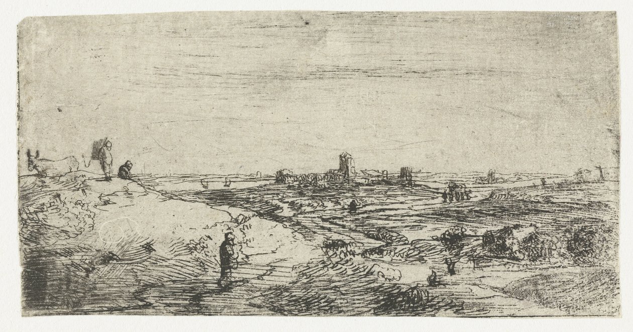 Landschap met een koe door Anonymous