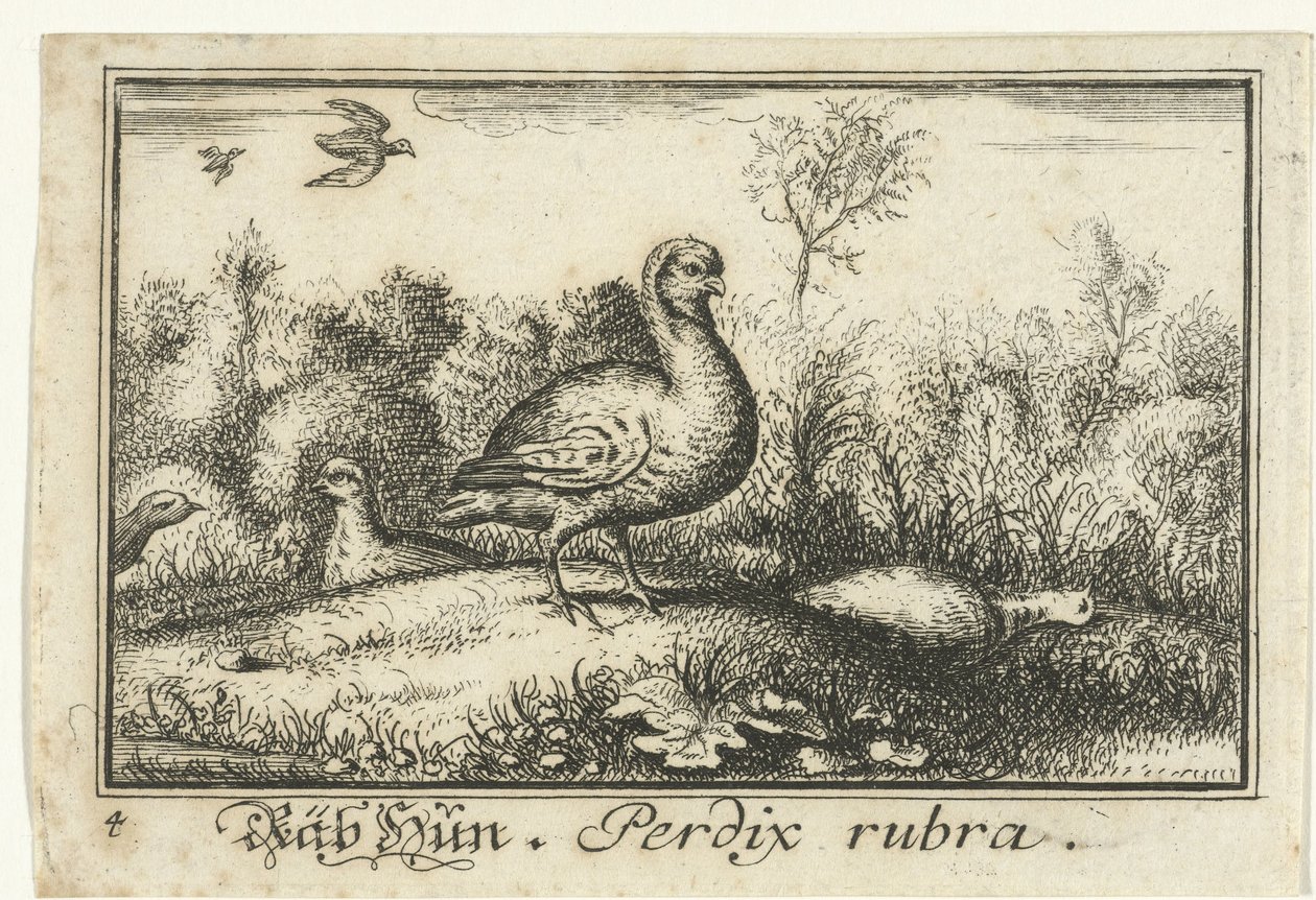 Landschap met patrijzen door Anonymous