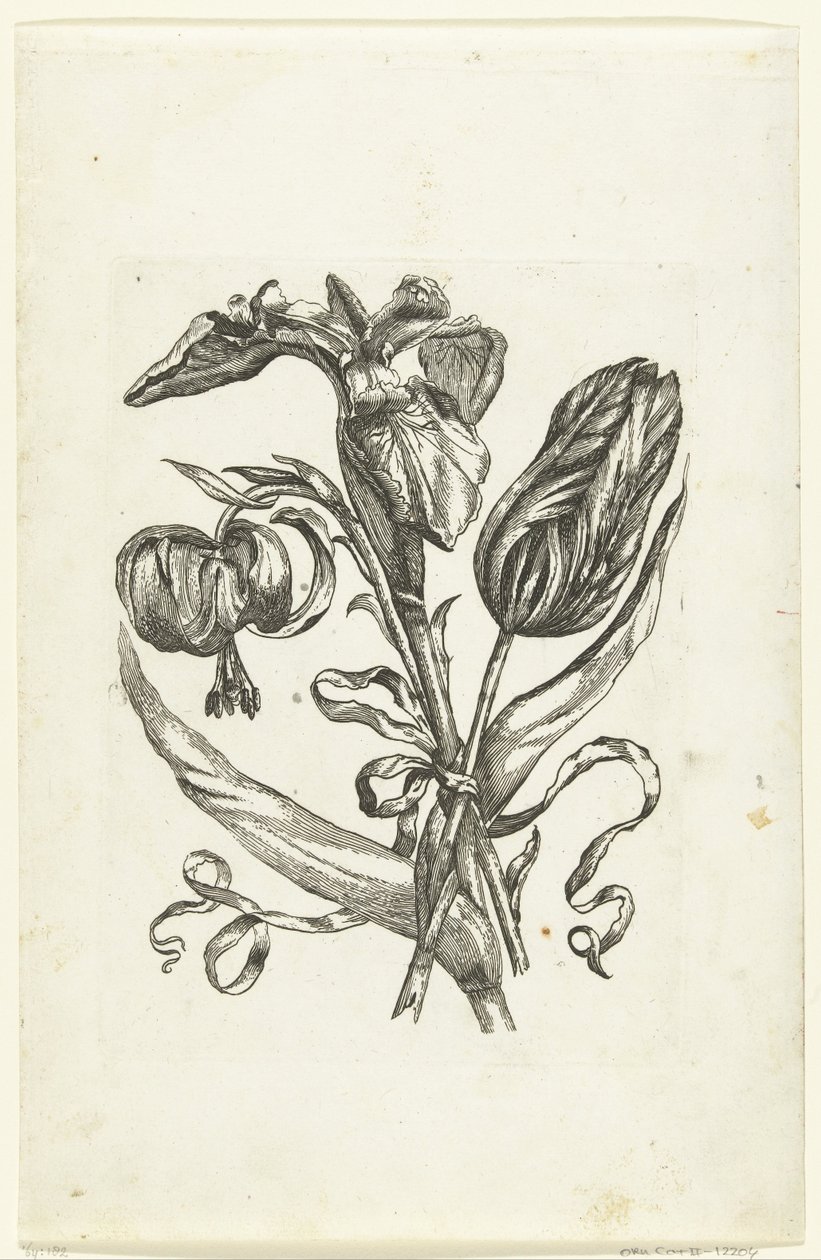Lelie, iris en tulp door Anonymous