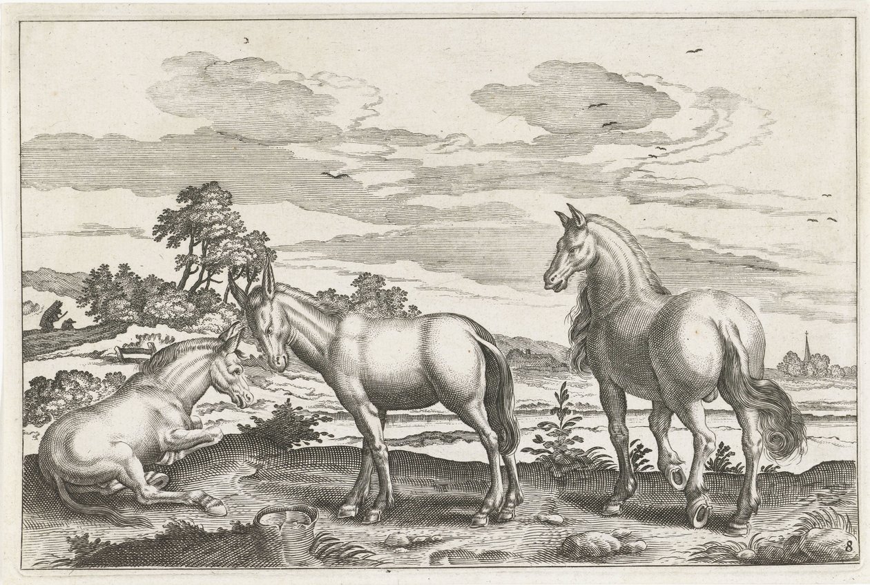 Paard en ezels door Anonymous