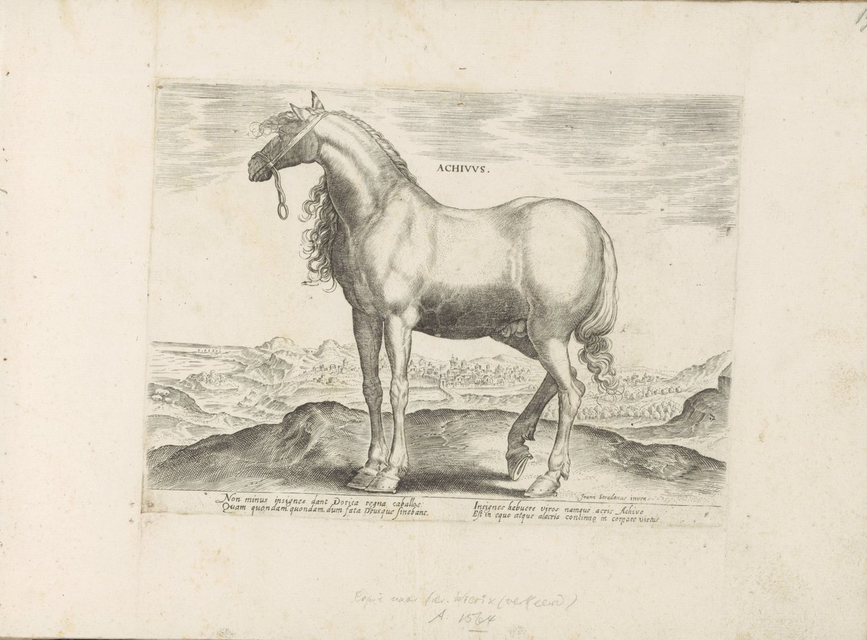 Paard uit Griekenland door Anonymous