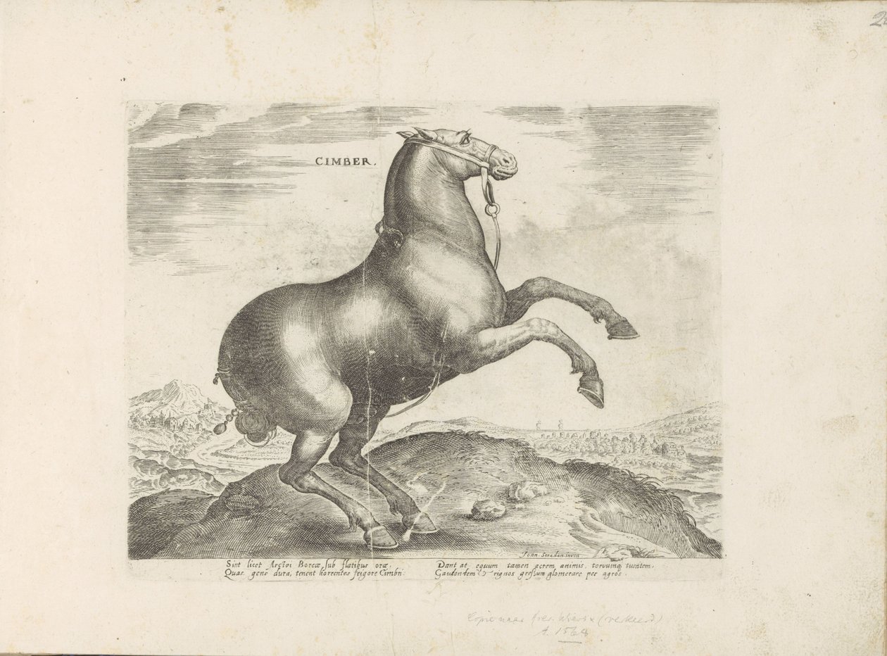 Paard uit Scythië door Anonymous