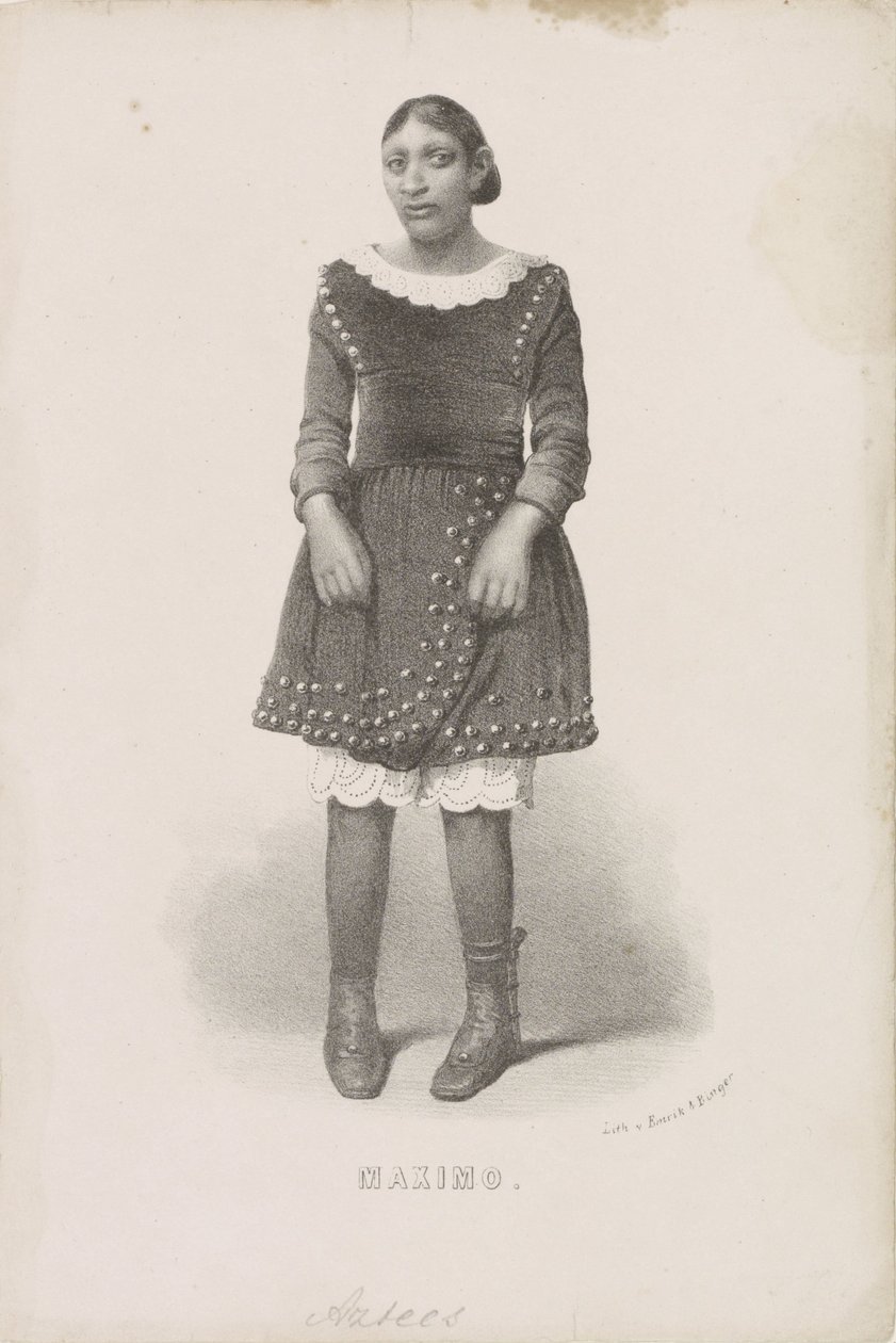 Portret van Máximo, 1857 door Anonymous