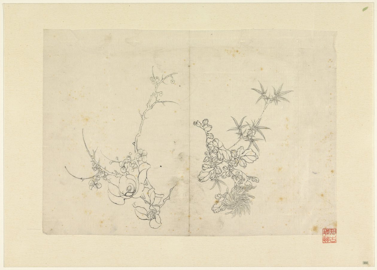 Schetsblad met wilde roos en een chrysant door Anonymous