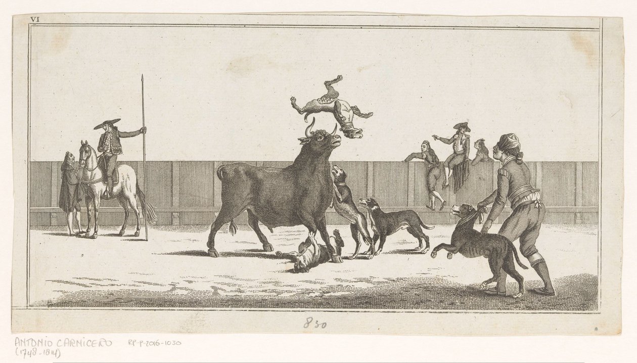 Stier aangevallen door honden door Anonymous