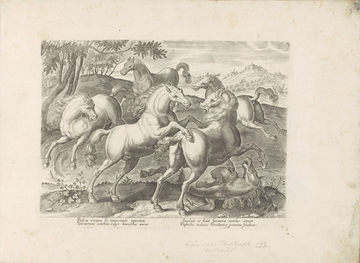 Vechtende paarden met een onder de voet gelopen paard door Anonymous