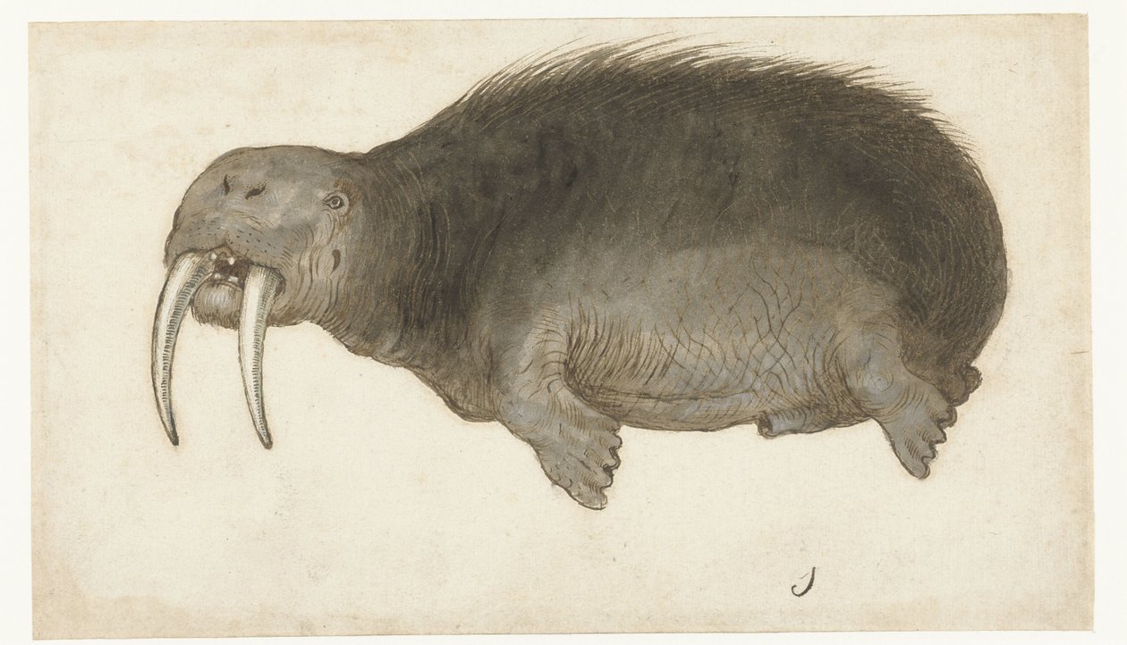 Walrus (Lombard album) door Anonymous