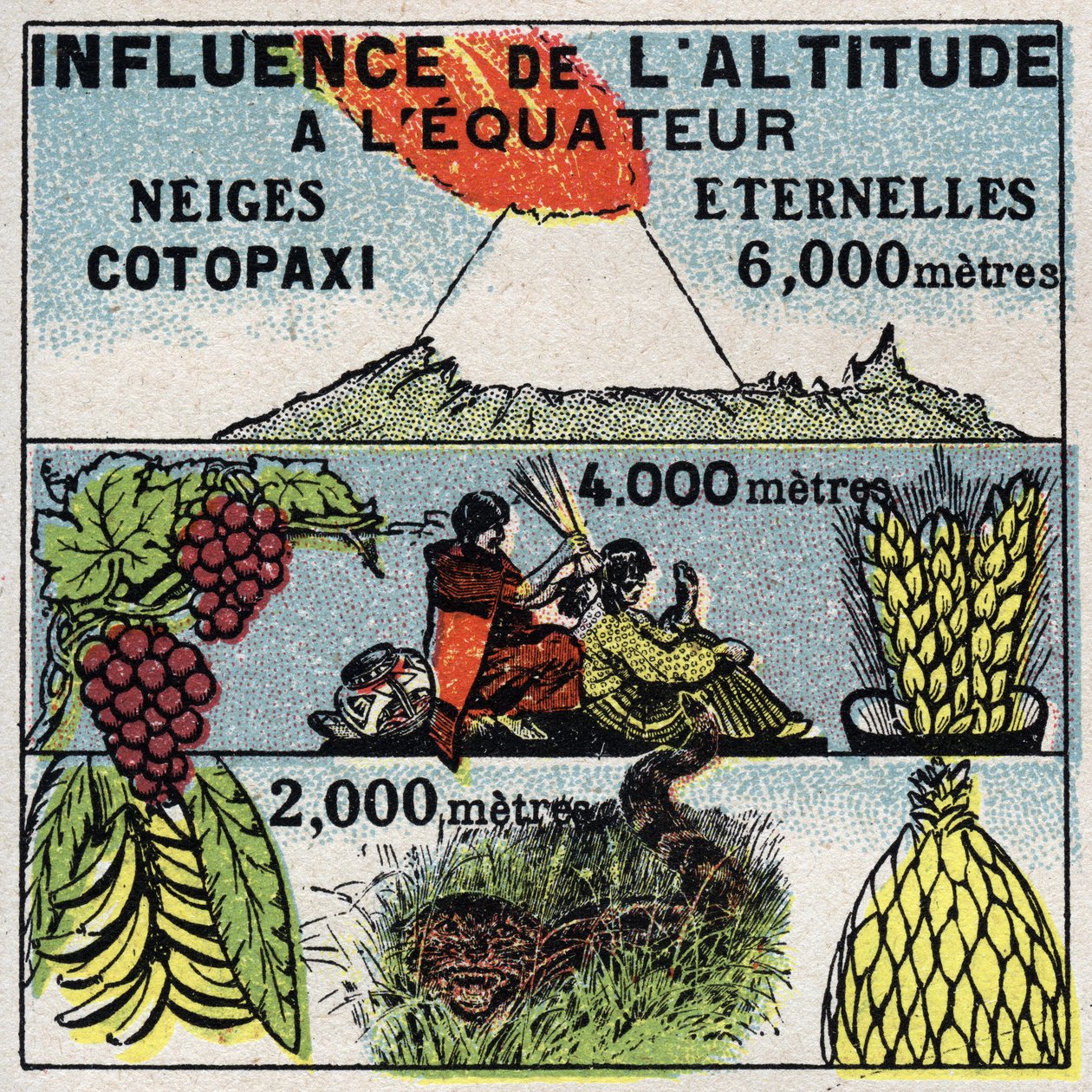 Meteorologie: invloed van hoogte op klimaat. Anonieme illustratie uit 1925. Privécollectie. door Anonymous Anonymous