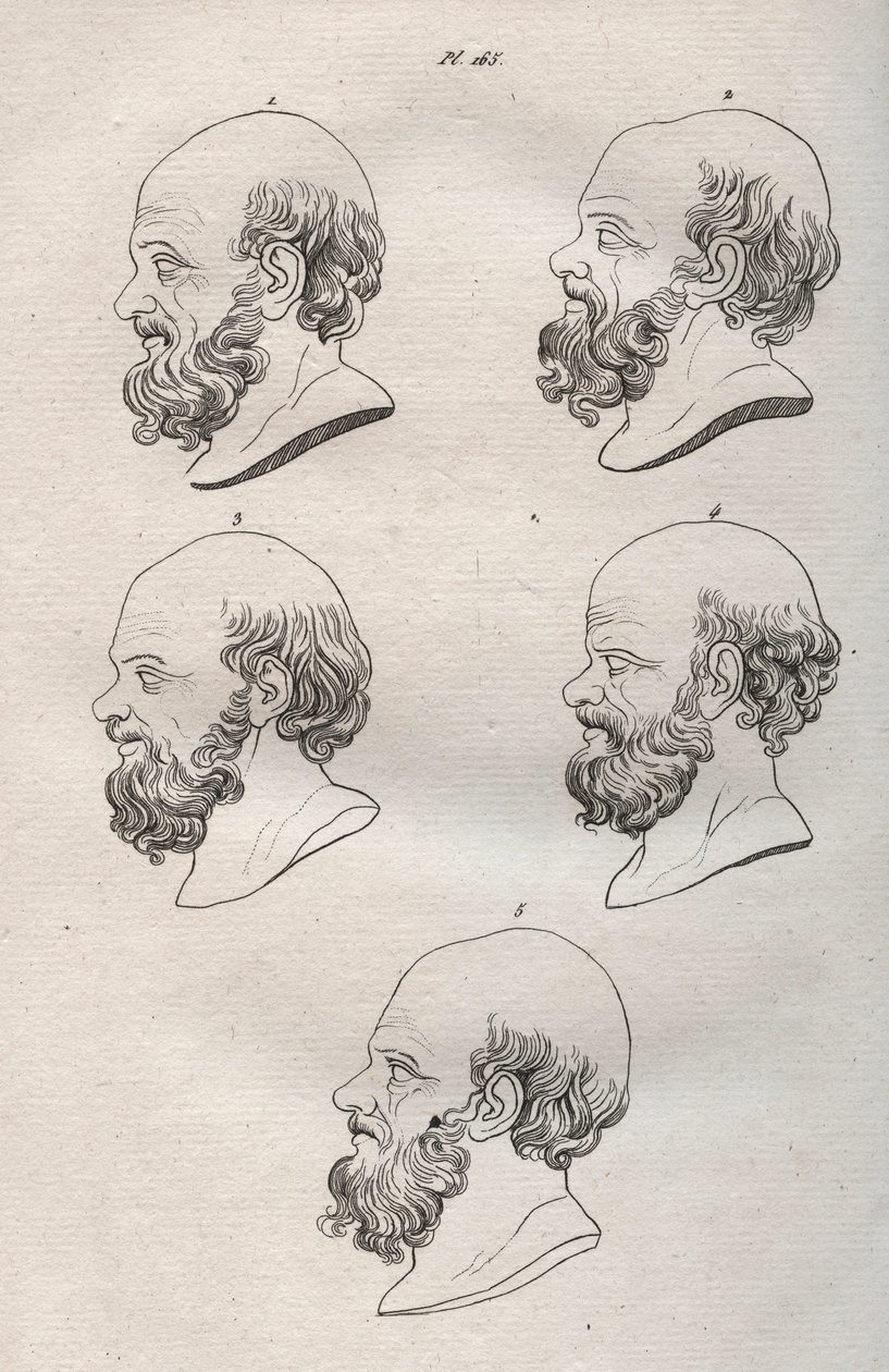 Fysiognomie - Verschillende hoofden van de Griekse filosoof Socrates (ca. 469 v.Chr.-399 v.Chr.) (buste van Socrates) gravure uit 1808 in 
