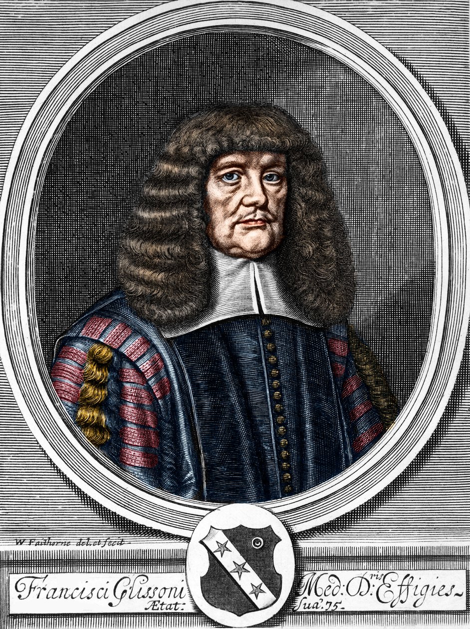 Portret van Francis Glisson (1599-1677) Britse arts, anatoom door Anonymous Anonymous