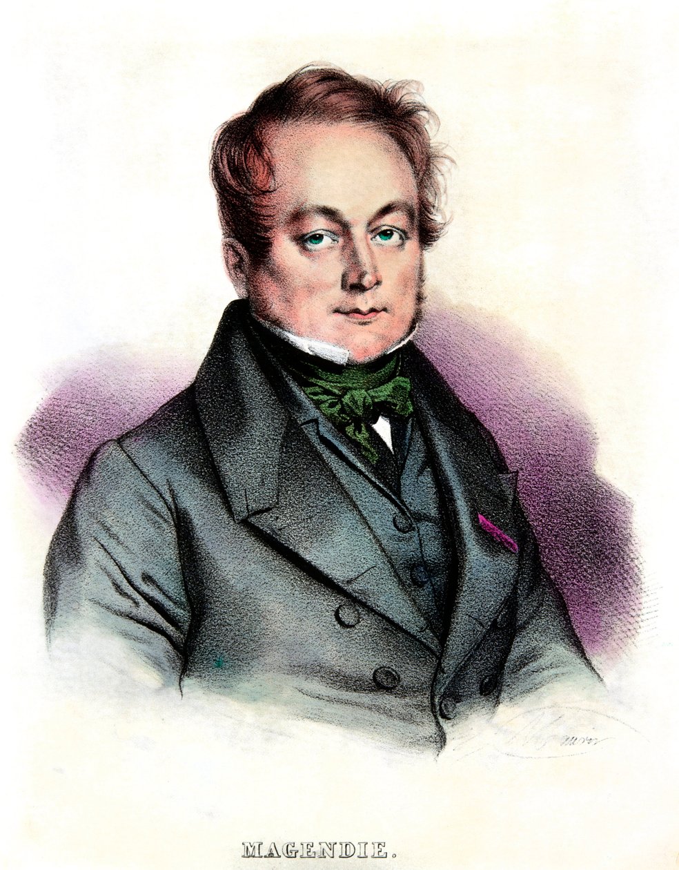 Portret van Francois Magendie (1783-1855) arts en fysioloog, privécollectie door Anonymous Anonymous
