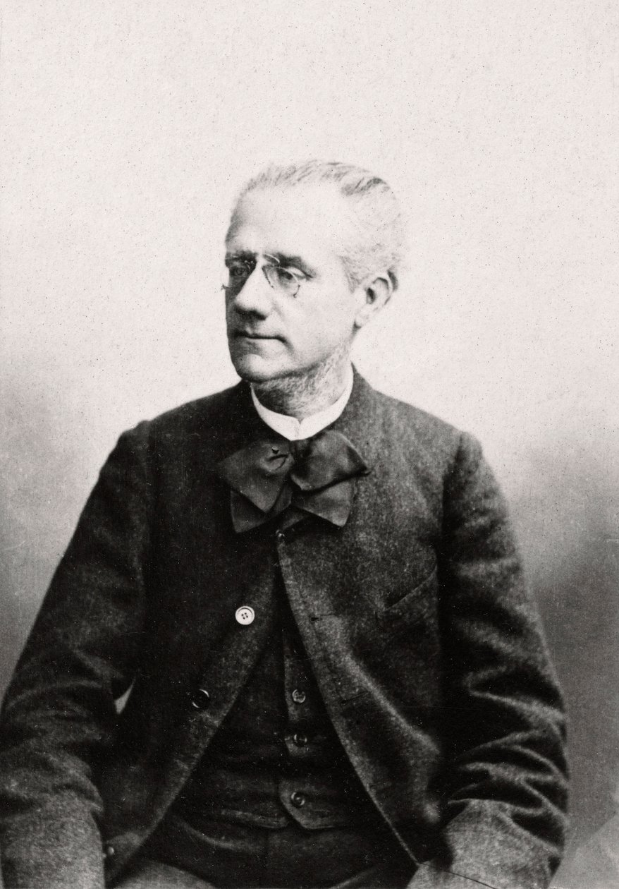 Portret van Louis Eugene Pouillet (1835-1905) advocaat, privécollectie door Anonymous Anonymous