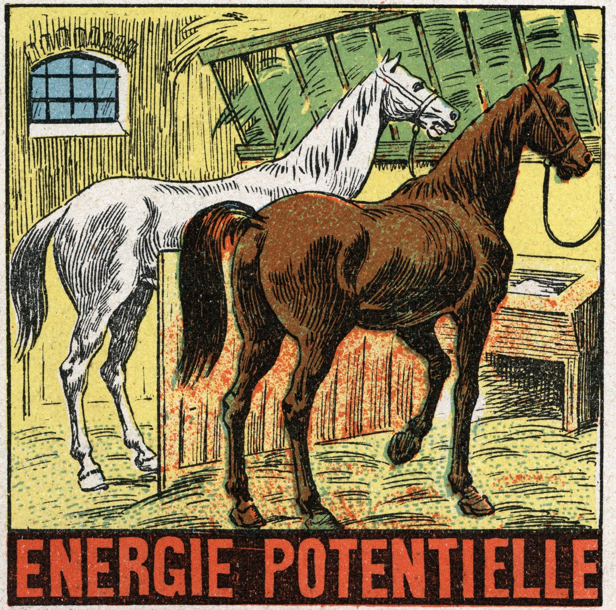 Potentiële energie: paarden rusten in een stal. Anonieme illustratie uit 1925. Privécollectie. door Anonymous Anonymous