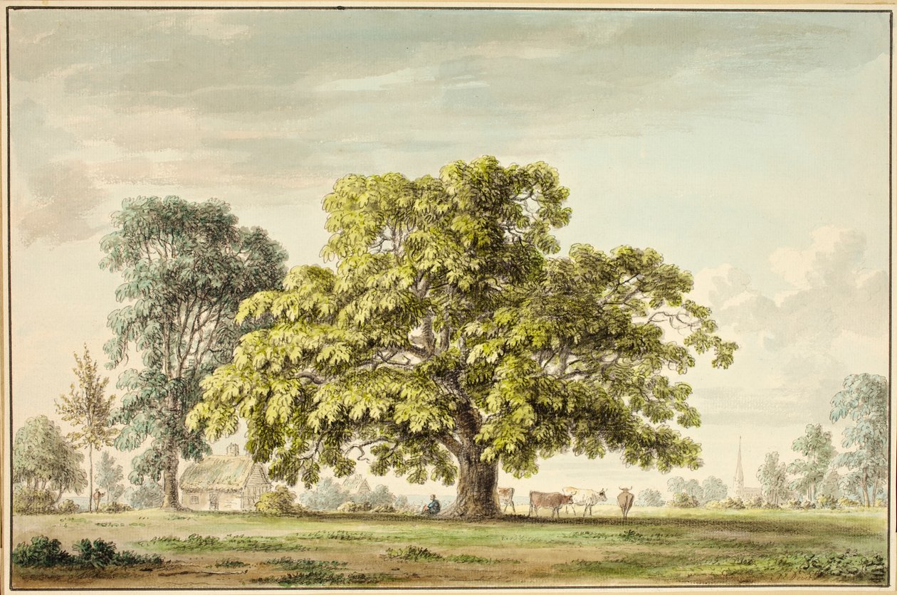 Een walnotenboom in Denton, nabij Grantham door Anthony Devis