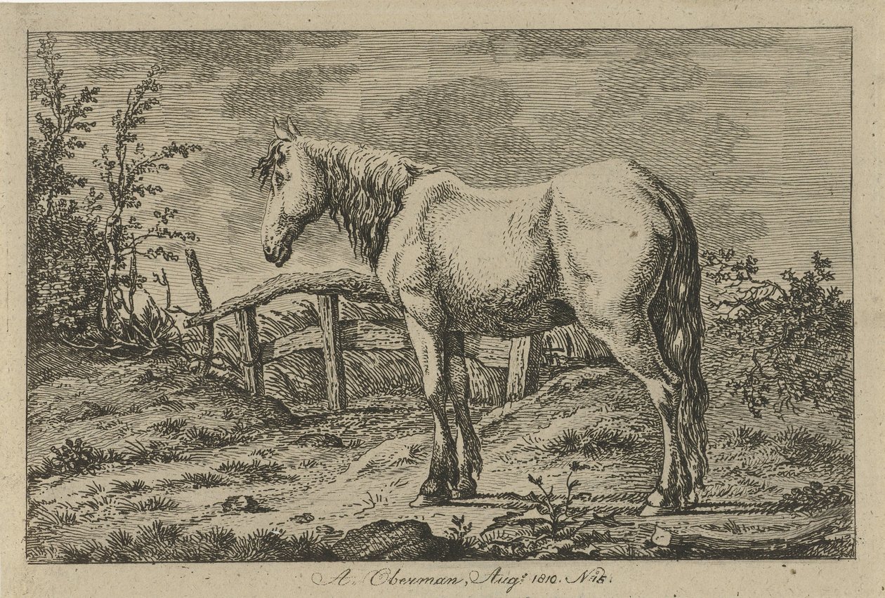 Staand paard door Anthony Oberman