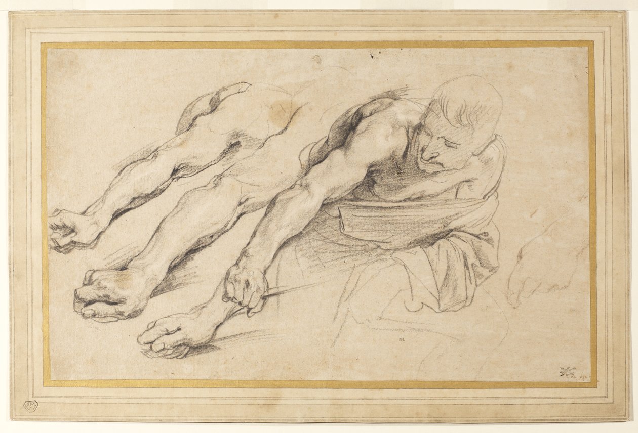 Figuur van een man die voorover buigt met de rechterarm uitgestrekt; drie studies van de rechterarm, en een van de linkerhand voor dezelfde figuur door Anthony van Dyck
