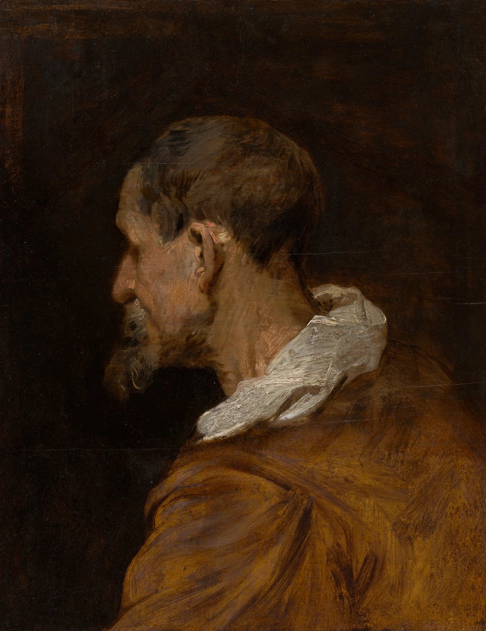 Hoofdonderzoek door Anthony van Dyck