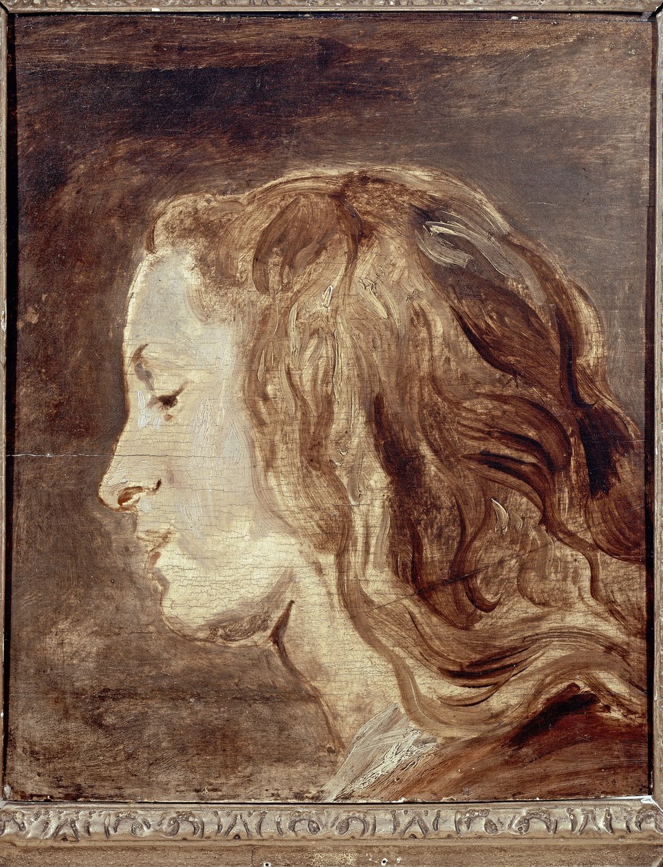 Hoofdstudie, eerste helft van de 17e eeuw door Anthony van Dyck
