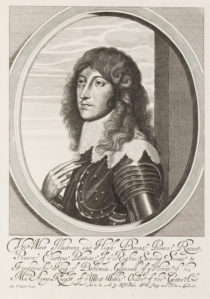 ?De Meest Illustere en Hooggeboren Prins Rupert?, ca. 1640 door Anthony van Dyck