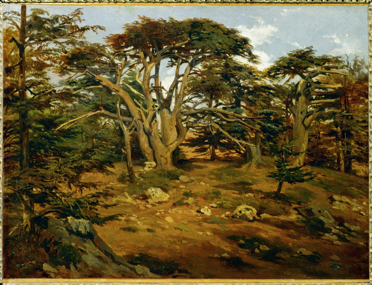 Les vieux cedres sur le Mont Liban - Oude cederbomen in de Libanon-range ... door Antoine Alphonse Montfort